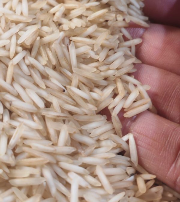 Brown Basmati Rice and Black Lentils Mix