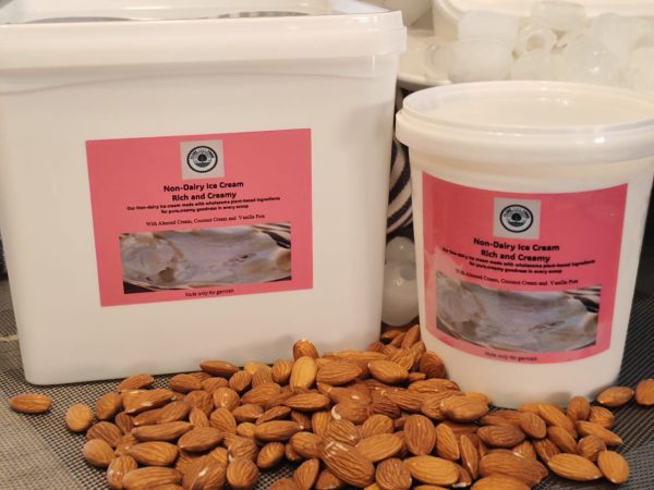 Dairy-Free Ice Cream